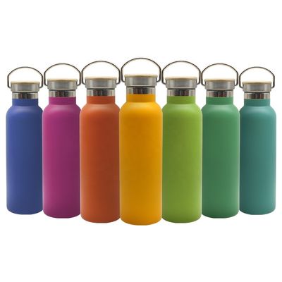 Custom Wholesale Outdoor 600ml 21oz Stainless Steel Sports Insulated Drink Bottle Vacuum Flask With Lid Handle