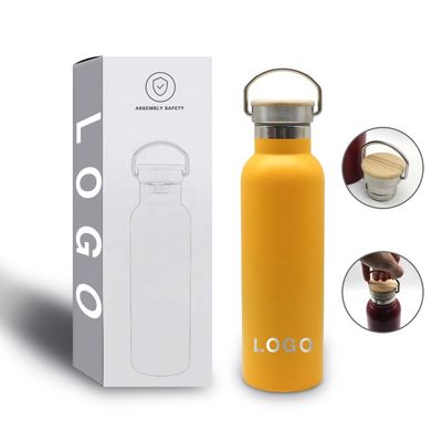 Custom Wholesale Outdoor 600ml 21oz Stainless Steel Sports Insulated Drink Bottle Vacuum Flask With Lid Handle